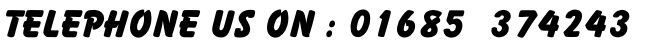 TELEPHONE US ON : 01685  374243

